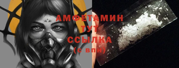 дмт Аркадак