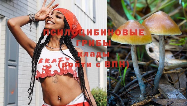 дмт Аркадак
