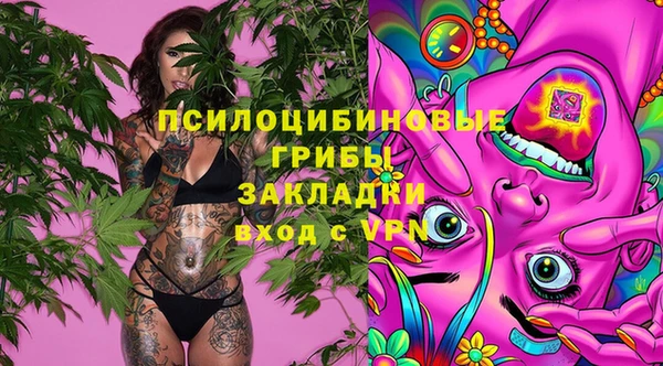 МДПВ Арсеньев