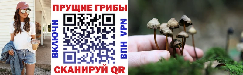Галлюциногенные грибы ЛСД  Приволжск 